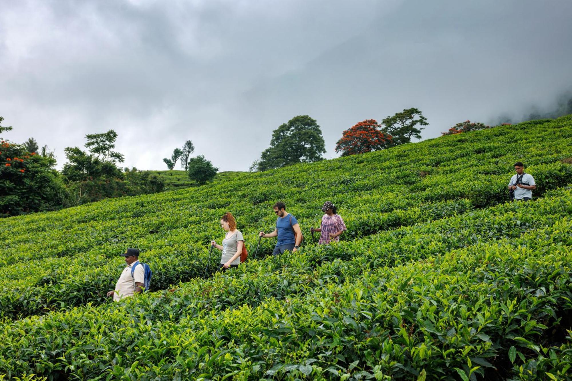 Amber Dale Luxury Hotel&Spa, Munnar Exterior foto